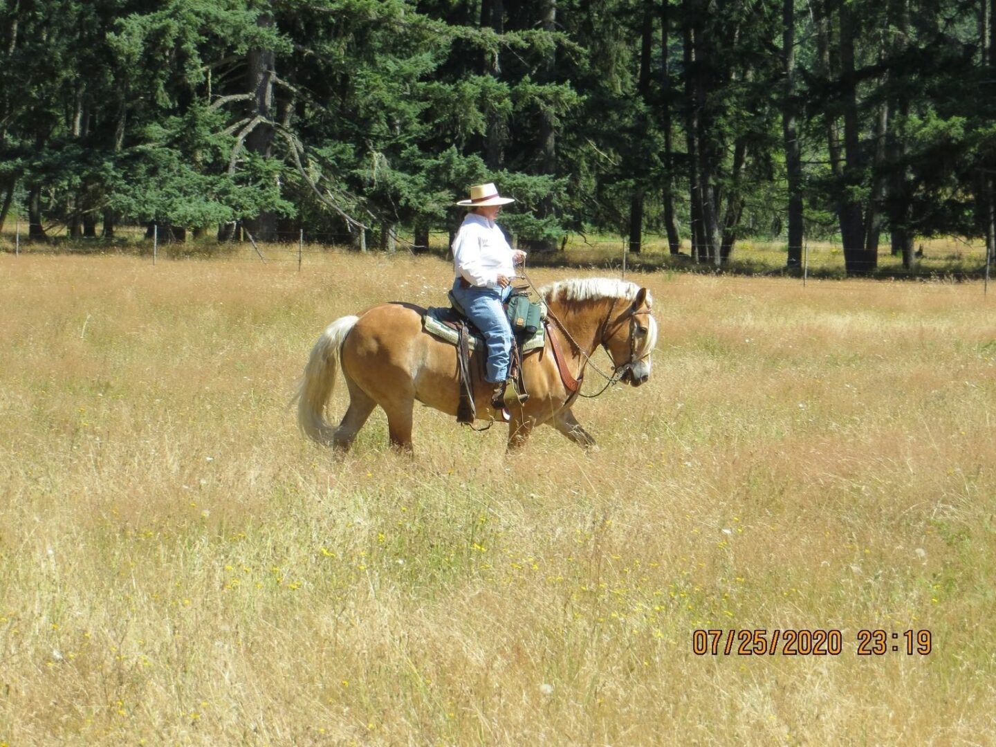 A man riding on the back of a horse through some tall grass.