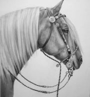 A horse with long hair and a chain around its neck.