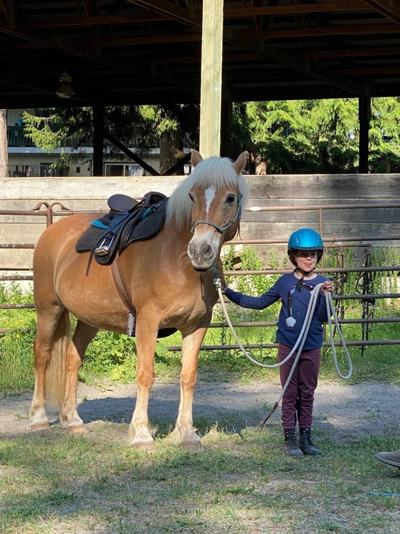 A young boy is leading his horse around the yard.