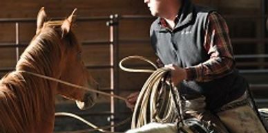 A man is holding the reins of his horse