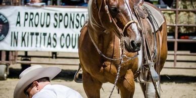 A horse with a harness on is walking in the dirt.