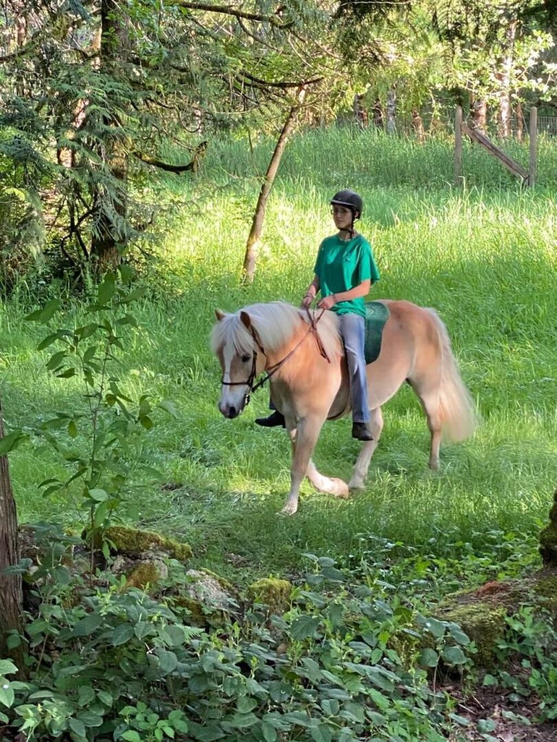 A person riding on the back of a horse.