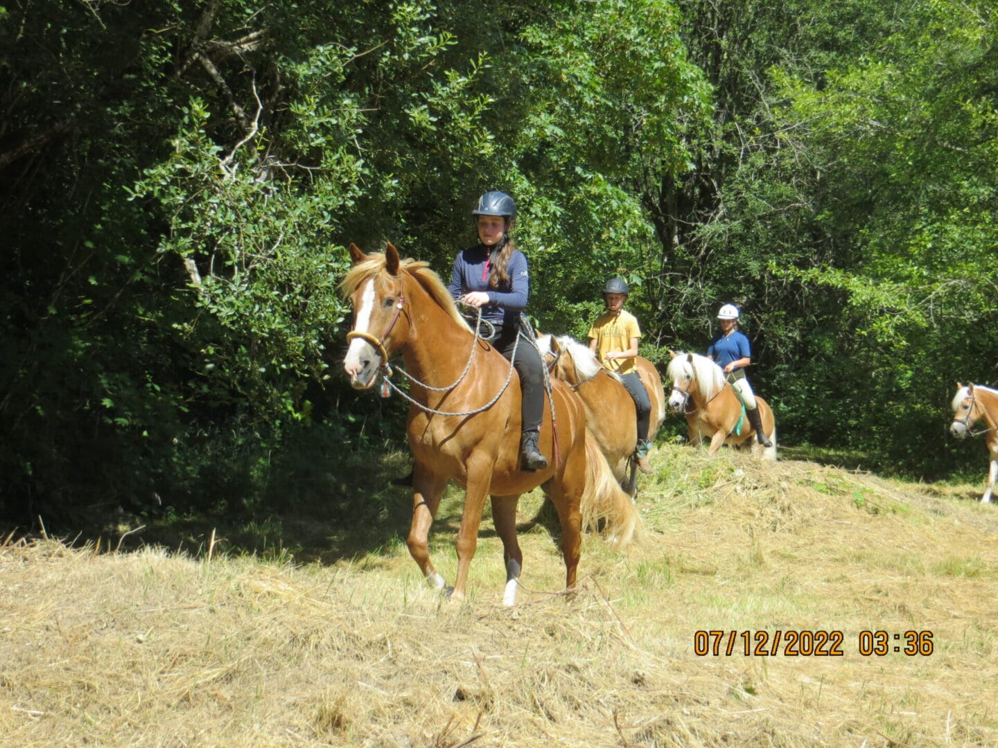 IMG_8668 IMG_8668